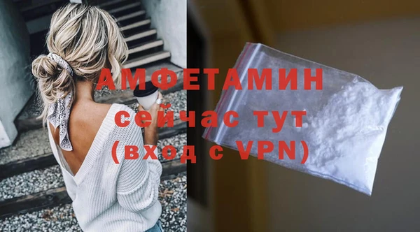 стаф Алексин