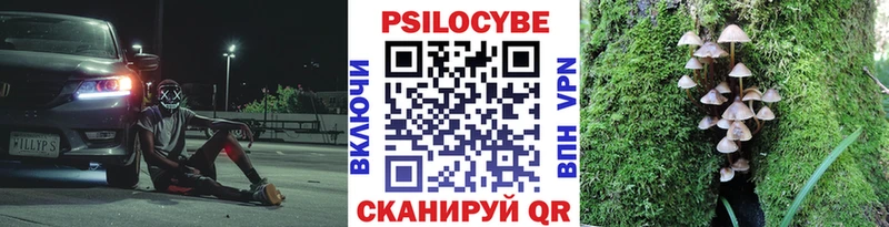 площадка какой сайт  Кольчугино  Псилоцибиновые грибы мухоморы 